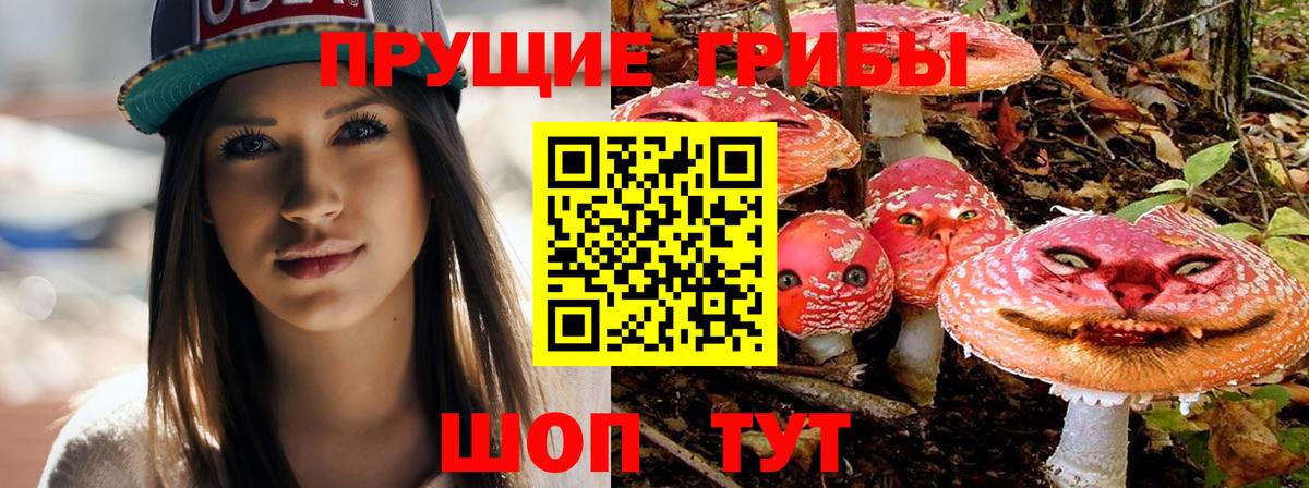 Галлюциногенные грибы ЛСД  Вход с VPN  Электросталь 